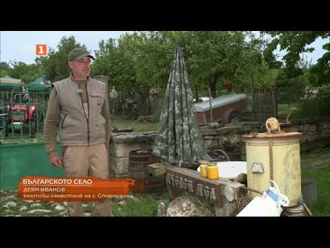 Видео: Село Староселец, "Българското село" 16.06.2024