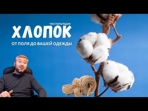 Видео: ХЛОПОК: история, которую мы не знали и как хлопок появился в Средней Азии. Текстильпедия.