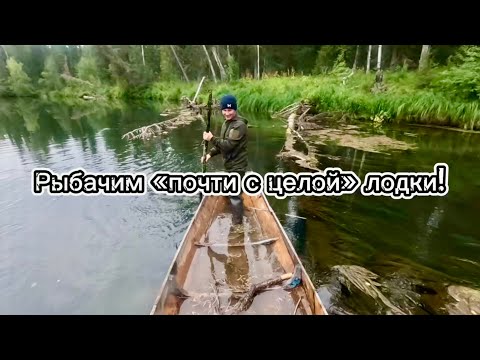 Видео: Едем за ХАРИУСОМ с ПРИКЛЮЧЕНИЯМИ! 1 день.