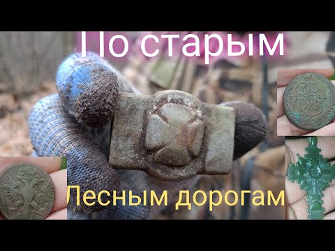 Видео: классные находки по лесной дороге.