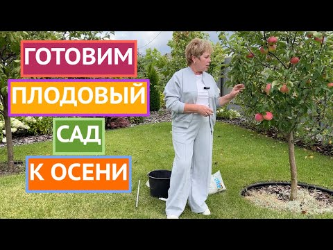 Видео: ВАЖНЫЕ ЭТАПЫ ПОДГОТОВКИ ПЛОДОВОГО САДА К ЗИМЕ!