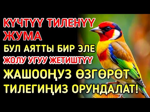 Видео: Жума күнүндөгү ЭҢ КҮЧТҮҮ ДУА! Бардык каалоолор кабыл болот! БАЙЛЫК, ПАЙДА ЖАНА БААКЫТ 🌙✨