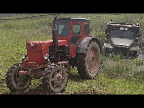 Видео: Урал 6х6 застрял на болотах, пришел на помощь Трактор Т 40 4х4