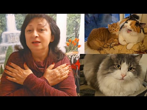 Видео: ⁉️КОМУ МЫ НУЖНЫ 🤷ПЕЧЕНЬ ИНТЕРЕСУЕТ ? 26.10.25.