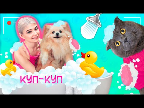 Видео: КУПАЮСЬ В ВАННОЙ С КОШКОЙ И СОБАКОЙ | УБИРАЕМСЯ ДОМА | ОДИН ДЕНЬ С НАМИ | ЧИСТЫЙ ДОМ 24 ЧАСА