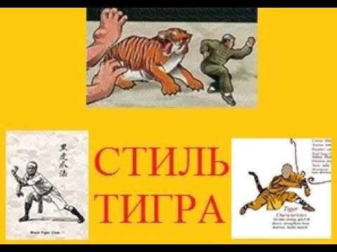 Видео: УШУ, стиль ТИГРА, ХунГар, Tiger Style, HunGar,  洪家拳