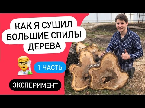 Видео: Как я сушил большие спилы дерева