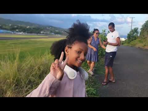 Видео: Для нас это отдых — наблюдать, как приземляются большие птицы #семья #stvincentandthegrenadines