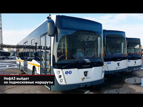 Видео: Автобусы — Подмосковью: большие НефАЗы, средние ЛиАЗы и особая ГАЗель City | Новости с колёс №2440