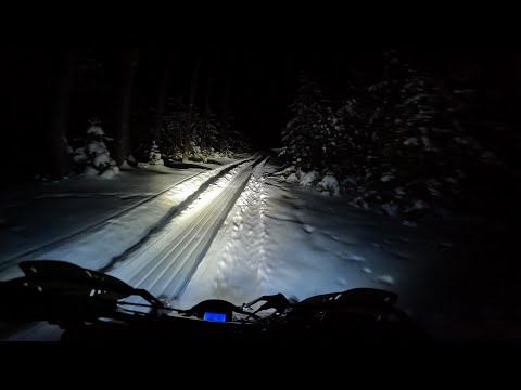 Видео: Ночью в лесу на квадроцикле