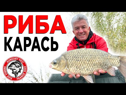 Видео: Карасі-монстри крадуть палки! Насадка і корм на карася! Рибалка на карася навесні!