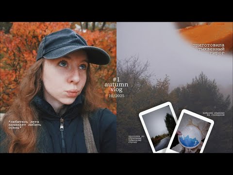 Видео: 🍂🥧 autumn vlog #1 // октябрь, начинаю любить осень, готовлю тыквенный пирог и аутумн вайблю