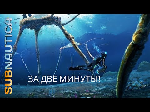 Видео: ГДЕ НАЙТИ МОРСКИХ ТОПТУНОВ? - subnautica