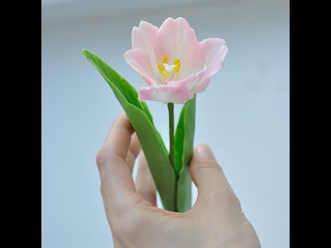 Видео: Gumpaste Tulip Tutorial.Тюльпан из мастики. Sugar Flowers. Fondant.