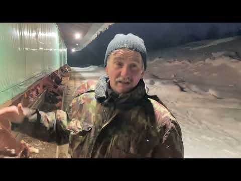 Видео: КФХ, ЛПХ, ИП, ООО