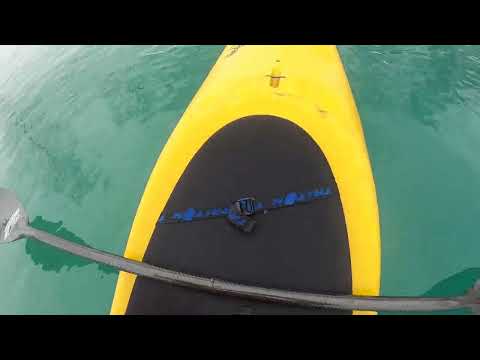 Видео: Каякинг по реке Суринь