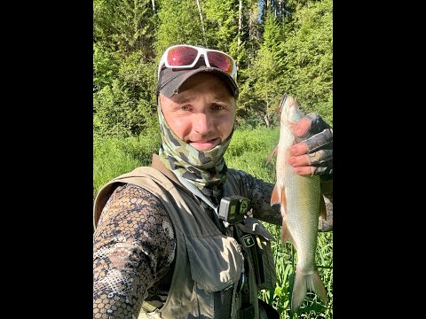 Видео: МНОГО ГОЛАВЛЕЙ и жерех сошел большой