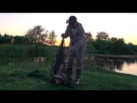 Видео: РЫБЫ ПОЛНО !!! ТЕПЛЫЙ КАНАЛ !!!