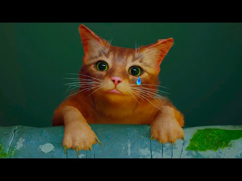 Видео: Новый Симулятор КОТЕНКА #1 Кид стал Рыжим Котом в Stray на Пурумчата