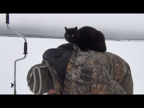 Видео: Проверили сеть для живца, установили жерлицы!!!