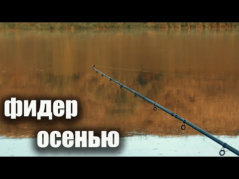Видео: Фидер осенью: работает ли АРОМАТИКА или это ПУСТАЯ ТРАТА? Экспериментирую на рыбалке