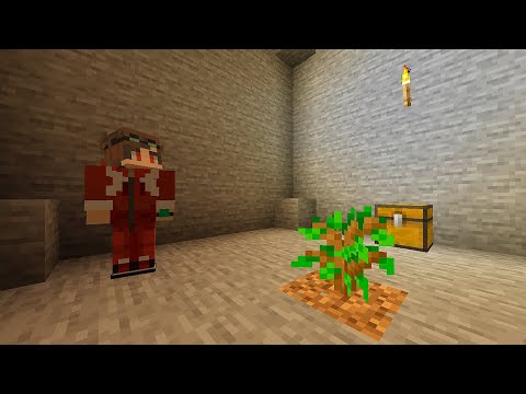 Видео: Выживание в Каменной Комнате с 1 Ростком в Майнкрафт