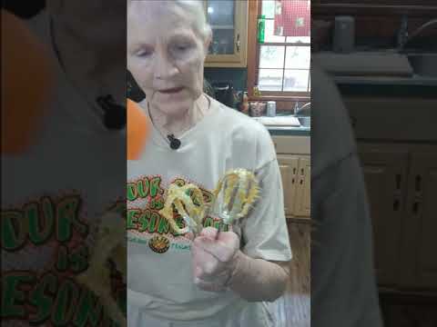 Видео: СУФЛЕ ИЗ СЛАДКОГО КАРТОФЕЛЯ... ТАК ПРОСТО... ТАК ВКУСНО!💥💥