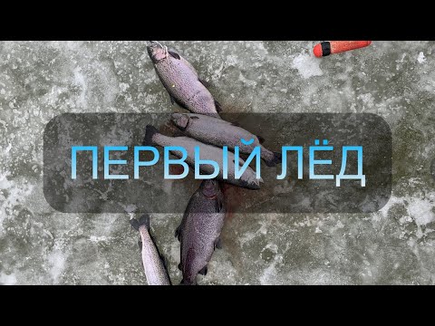 Видео: Первый лед 2021/Ловля форели зимой/Съемки подводной камерой