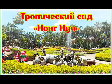 Видео: Тропический сад "Нонг Нуч" в Июне  🧑‍🌾🦩🌸 "Nong Nooch" Tropical Garden in June
