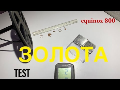 Видео: Тестируем 🥇 ЗОЛОТО с equinox 800!кладоискатель