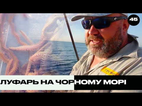 Видео: Луфарь на Чорному Морі | Трофей на Морі №45