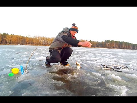 Видео: ХИТРАЯ СНАСТЬ ДЛЯ ЛОВЛИ КРУПНОЙ ПЛОТВЫ!!! Нереальная рыбалка по последнему льду.