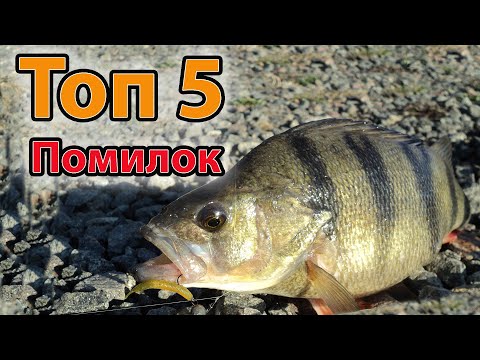 Видео: Топ 5 ПОМИЛОК ПРИ ЛОВЛІ ОКУНЯ НА СПІНІНГ