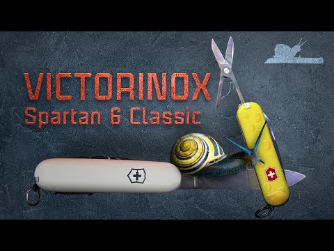 Видео: Полтора ножа! Victorinox Spartan и Classic #Ножи #Victorinox