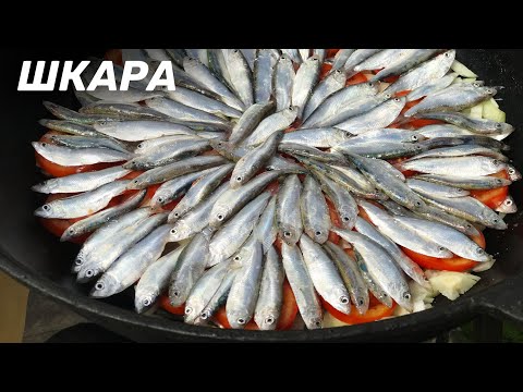 Видео: БЛЮДО ЧЕРНОМОРСКИХ РЫБАКОВ —  ШКАРА