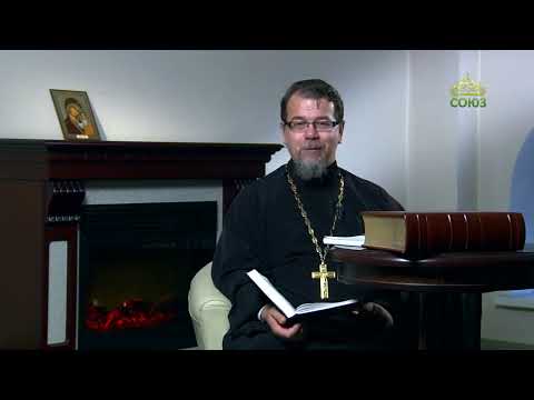 Видео: Добродетели других нам не приятны. о. Константин Корепанов