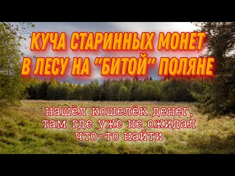 Видео: Нашел кошелёк "старинных" монет на выбитой поляне.