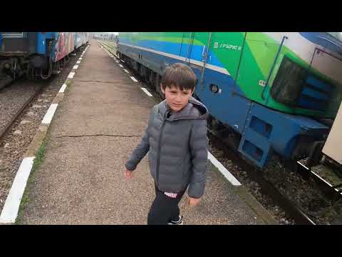 Видео: Карлово 17.03.2024