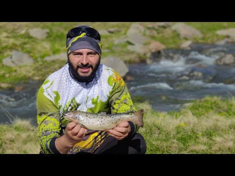 Видео: Рыбалка на форель и сазана в армянских горах / Ձկնորսություն սազան, իշխան, կարմրախայտ / Dzknorsutyun