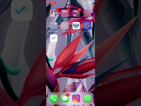 Видео: АСМР близкий шёпот. Что в моем телефоне