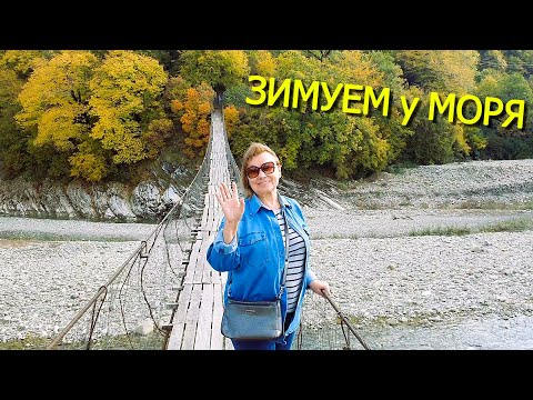 Видео: СТАЛО / БЫЛО. Вдоль Псезуапсе к морю. Что с Шариком? Осенний наряд магнолий. Лазаревское зимой