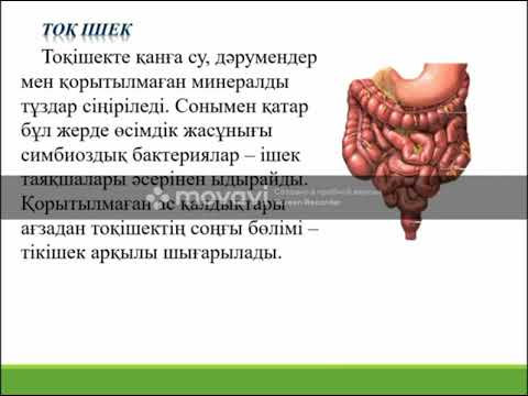 Видео: 9сынып Биология пәні "Ас қорыту" Биология пәні мұғалімі  Ержан Арай