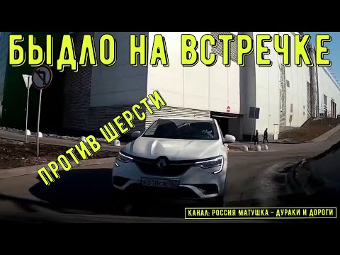 Видео: Быдло на встречке #153! Подборка на видеорегистратор!
