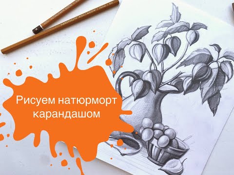 Видео: Рисуем Натюрморт с Физалисом в графике! 🌿