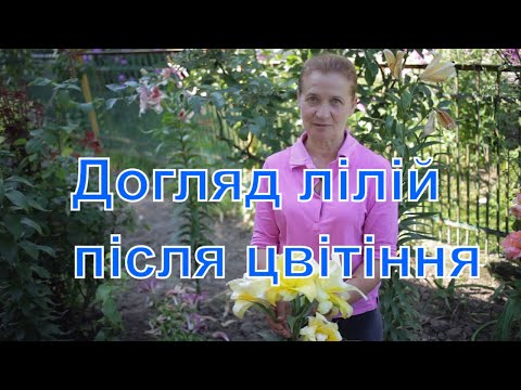 Видео: Догляд за ліліями в кінці літа