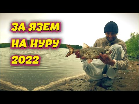 Видео: За Язем - Река Нура - Рыбалка Казахстан
