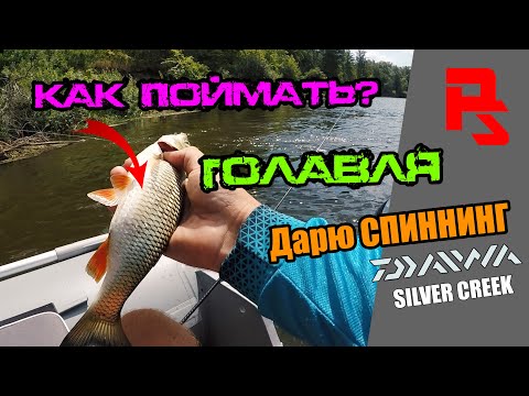 Видео: Ловля голавля с лодки летом. Река Десна, сплав