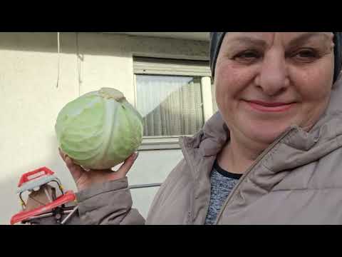 Видео: Готовлю ужин.  Купила курам капусту. 