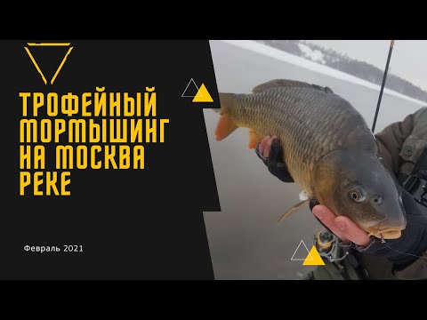Видео: Трофейный Мормышинг на Москва Реке!!!