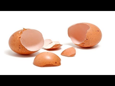 Видео: На огороде от яичной скорлупы может быть только польза.